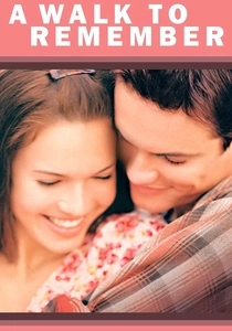 Der unvergessene Sommer (2002)