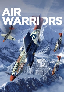 Flieger im Krieg (2014)