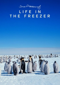 Life in the Freezer (1993)