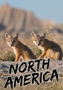 North America (2013)