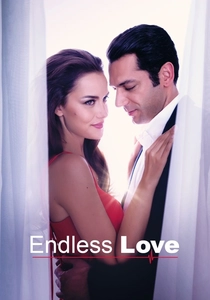 Die unendliche Liebe (2016)
