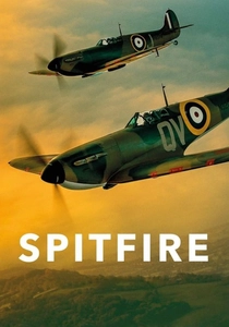 Die Spitfire (2017)
