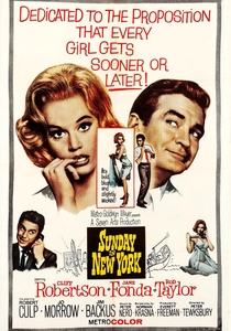 Sunday in New York (1963)