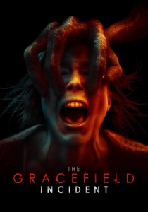 The Gracefield Incident (2017)