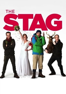 Der Junggesellenabschied (2013)