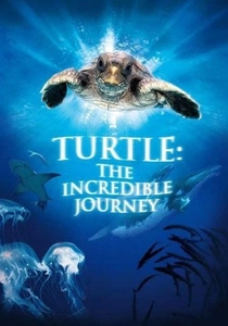 Die Reise der Schildkröten (2009)
