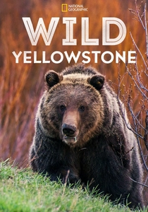 Wild Yellowstone (2015)