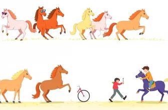 10 Komödien über Pferde, die du nicht verpassen solltest