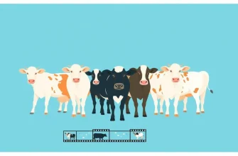 Biografische Filme über Stiere: Eine Reise in die Welt der Stiere