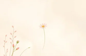 10 Melodramen über Gesundheit, die Sie berühren werden