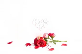 Valentinstag-Biografien: 10 Filme, die das Herz erwärmen