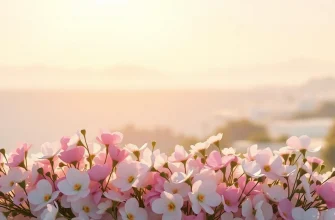 10 Melodramen über plastische Chirurgen