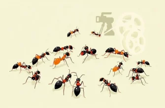 Biografische Filme über Ameisen